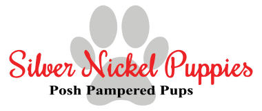 Silver Nickel Puppies Logo
